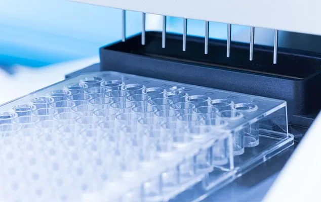 Một giải pháp toàn diện cho việc phát hiện virus bằng phương pháp qRT-PCR.