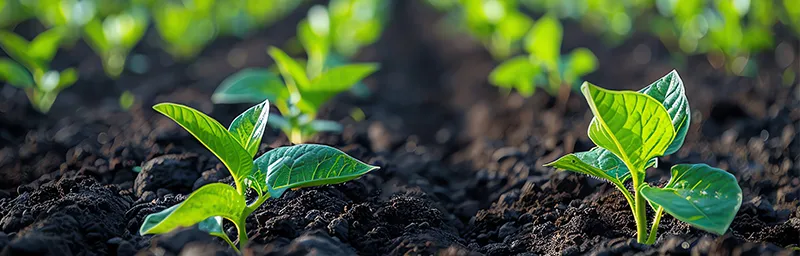 thiết bị cho ngành môi trường